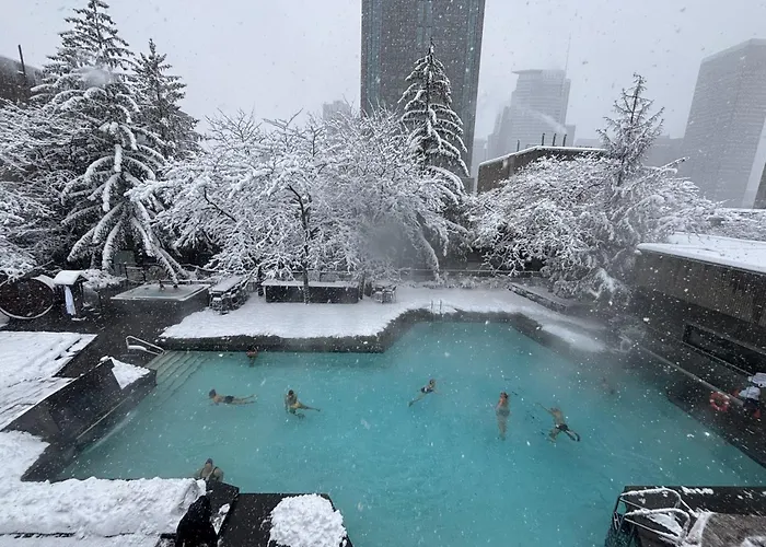 Motel: Hotel Bonaventure Montreal